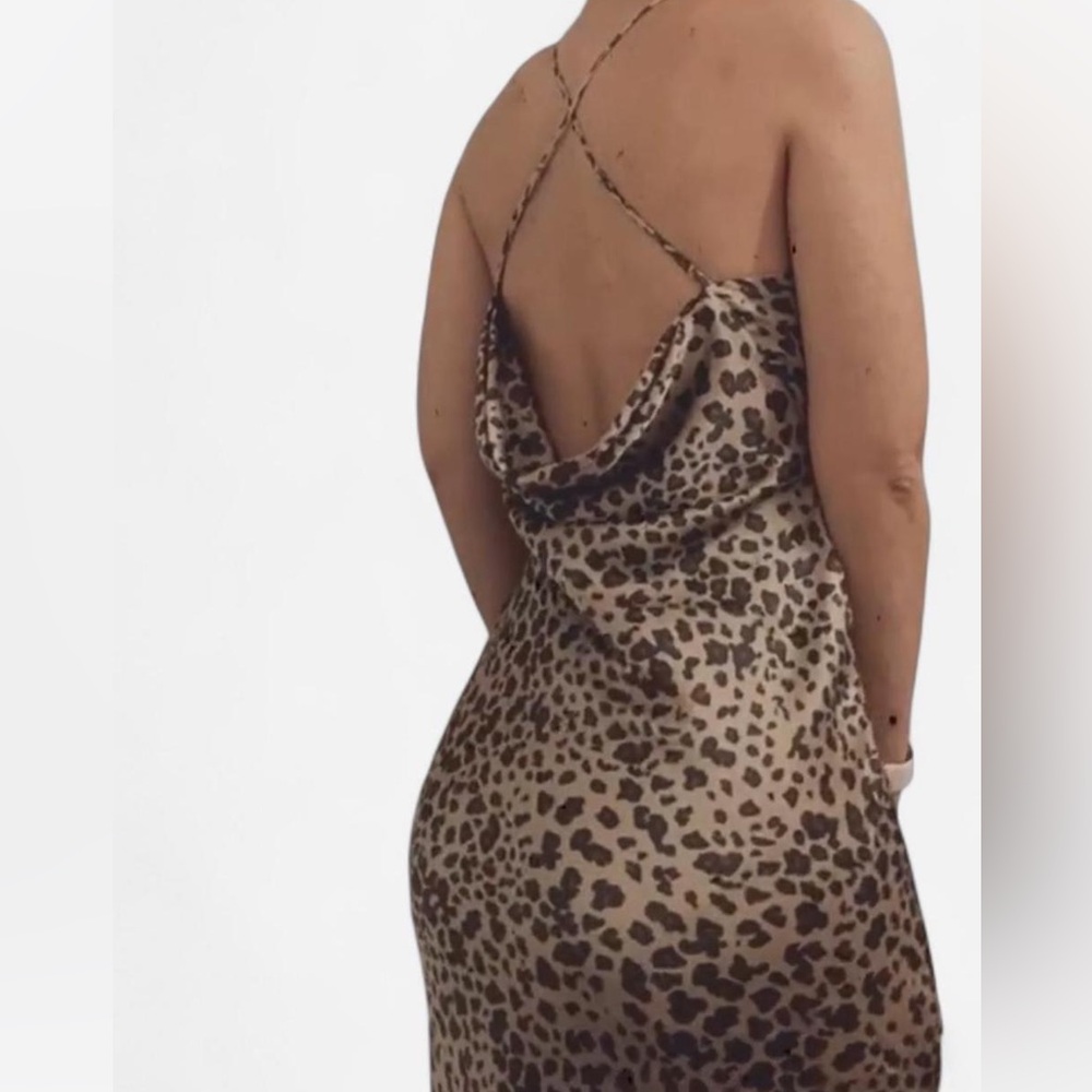 Abercrombie & Fitch Tan Leopard Backless Dress